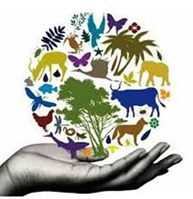22 May: International Day for Biological Diversity