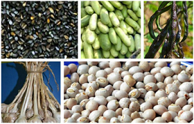 Five Agricultural Products of Kerala granted GI Tag