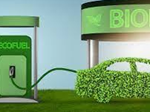 10 August: World Biofuel Day 