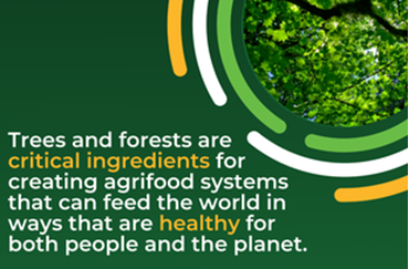 Transforming Agrifood Systems with Forests