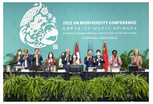 Kunming-Montreal Global Biodiversity Framework