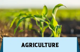 Agriculture