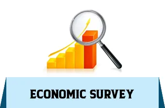 Economic Survey